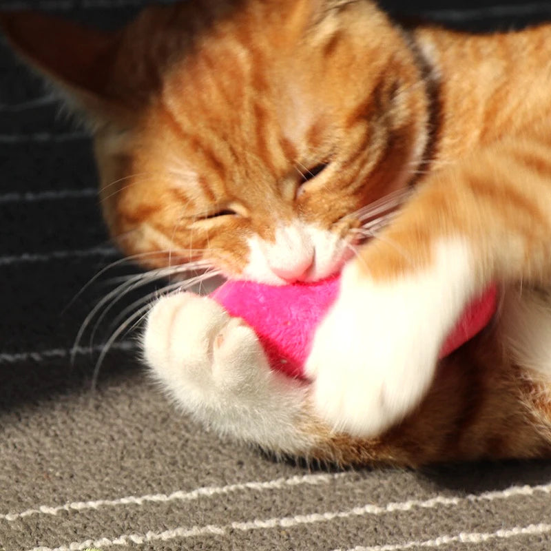 Catnip Plush Cat Toy