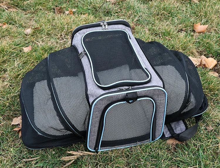 Foldable Mesh Pet Carrier