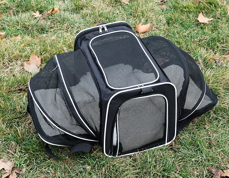 Foldable Mesh Pet Carrier