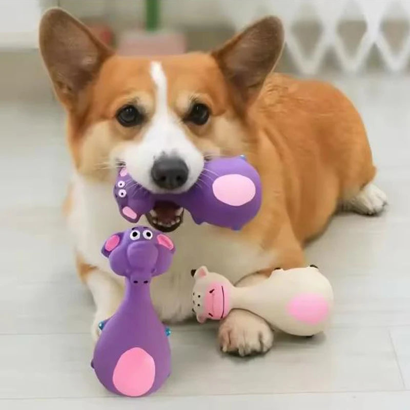 Squeaky Latex Dog Toy