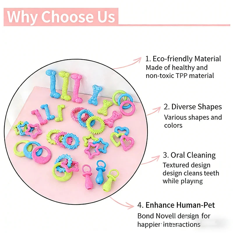 TPR Puppy Chew Toy Set