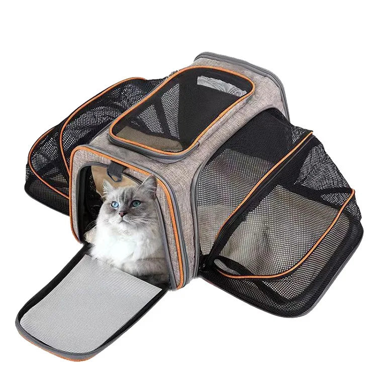 Foldable Mesh Pet Carrier