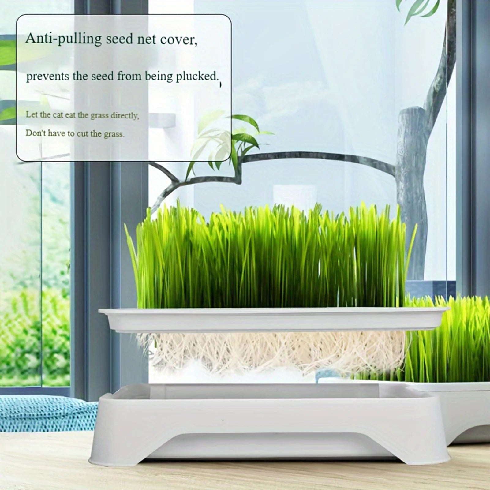 Cat Grass Growing Kit