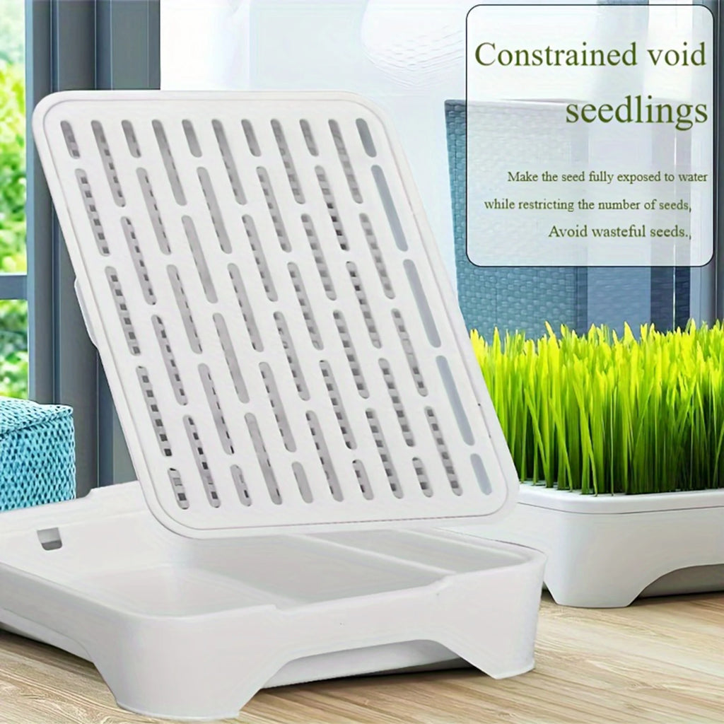 Cat Grass Growing Kit