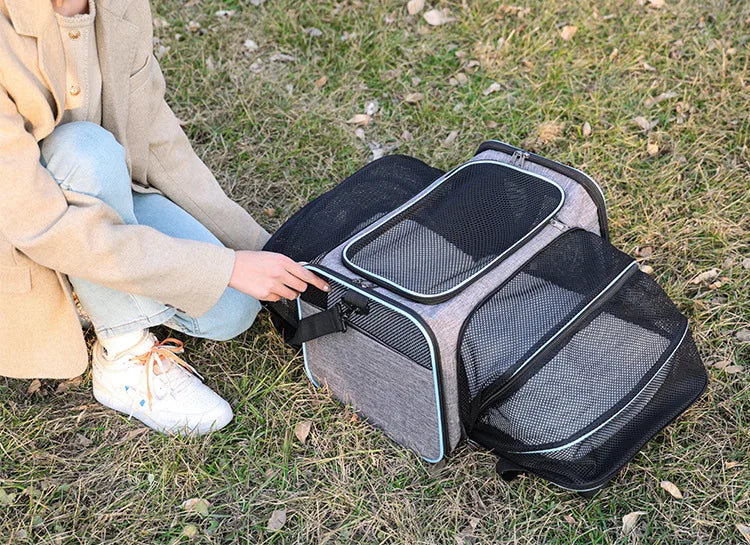 Foldable Mesh Pet Carrier