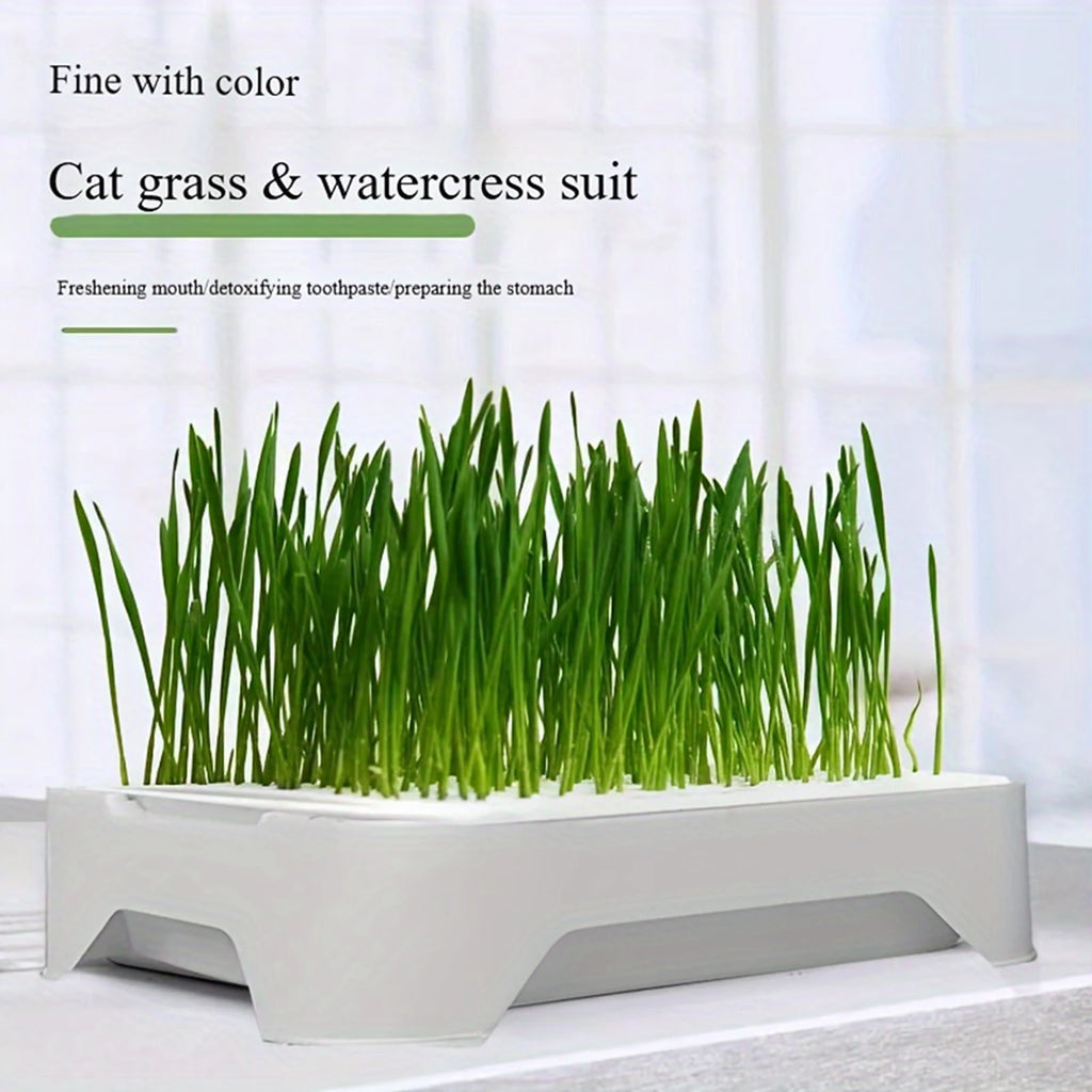 Cat Grass Growing Kit