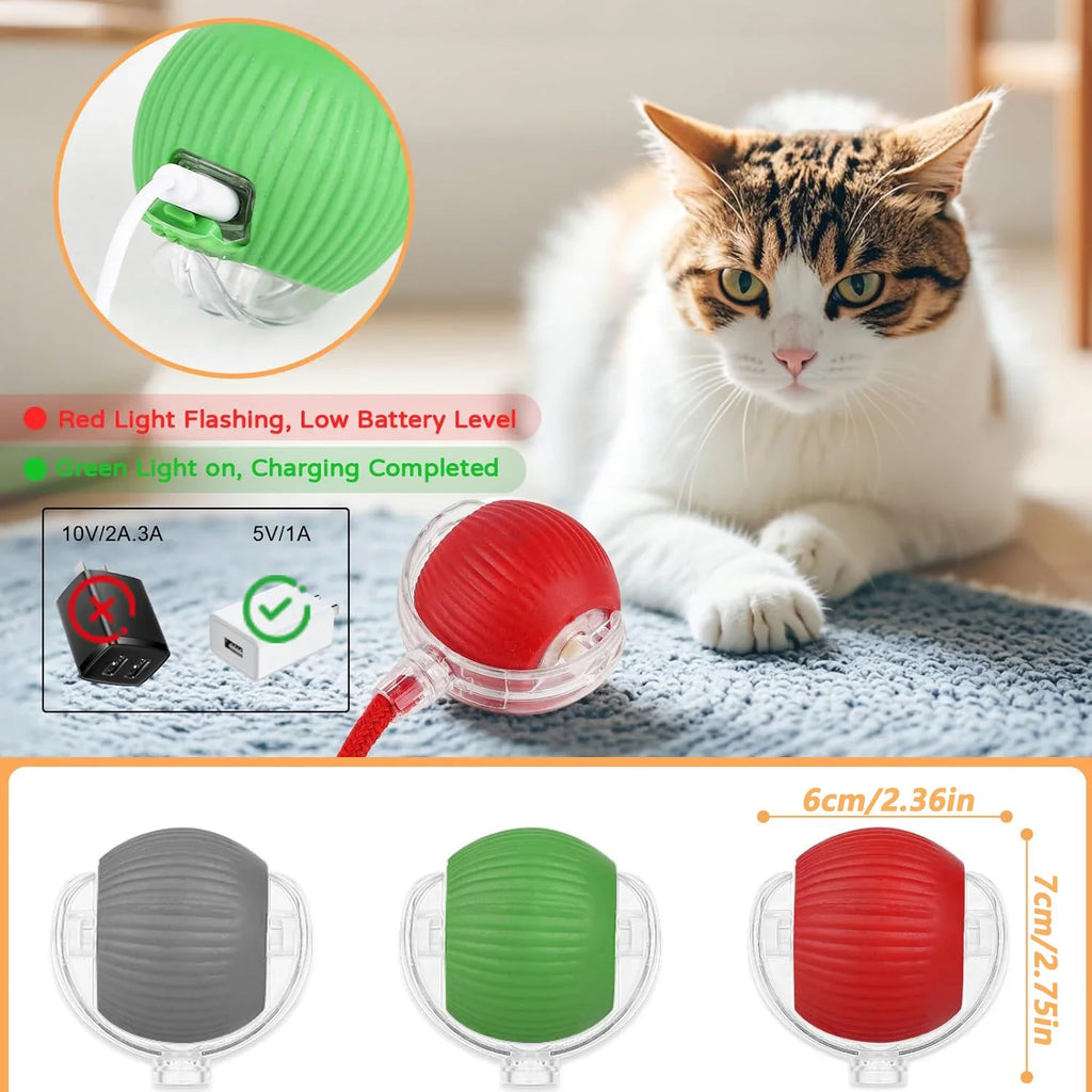 Interactive Rolling Cat Ball