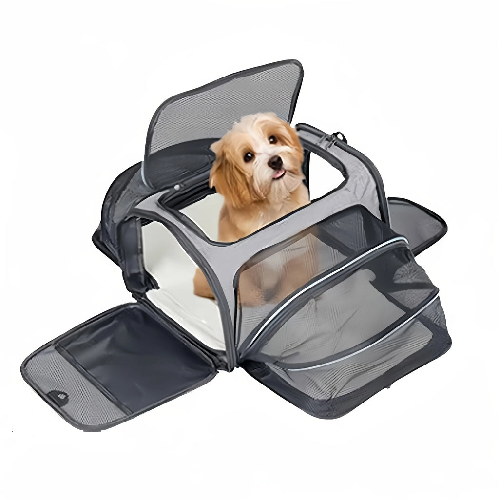 Foldable Mesh Pet Carrier